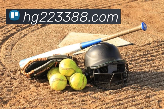 米兰体育官网登录入口服务体系